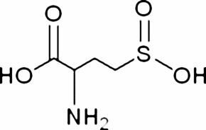 L-Homocysteinesulfinic acid