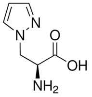 3-(1-Pyrazolyl)-L-alanine