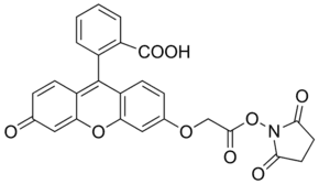 Fluorescein-O′-acetic acid N-succinimidyl ester