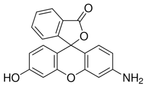 Rhodol
