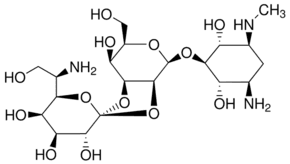 Hygromycin B from Streptomyces hygroscopicus