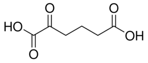 2-Oxoadipic acid