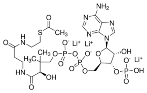 Acetyl coenzyme A lithium salt