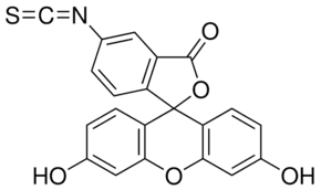 Fluorescein isothiocyanate isomer I