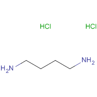 1,4-Diaminobutane dihydrochloride