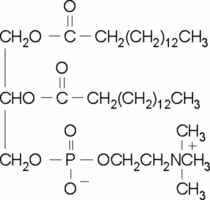 1,2-Dipentadecanoyl-sn-glycero-3-phosphocholine