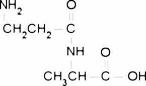 β-Ala-Ala