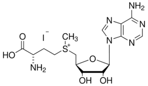 S-(5′-Adenosyl)-L-methionine iodide