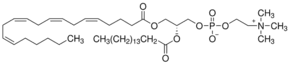 2-Arachidonoyl-1-palmitoyl-sn-glycero-3-phosphocholine