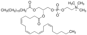 2-Arachidonoyl-1-stearoyl-sn-glycero-3-phosphocholine solution