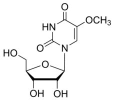 5-Methoxyuridine