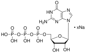 Guanosine 5′-triphosphate sodium salt hydrate