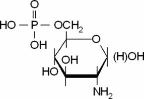 D-Glucosamine 6-phosphate