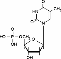 Thymidine 5′-monophosphate