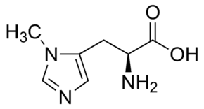3-Methyl-L-histidine