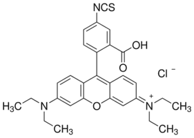 Rhodamine B isothiocyanate