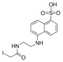 N-(Iodoacetaminoethyl)-1-naphthylamine-5-sulfonic acid
