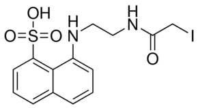 N-Iodoacetyl-N′-(8-sulfo-1-naphthyl)ethylenediamine