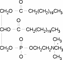 1,2-Didocosanoyl-sn-glycero-3-phosphocholine