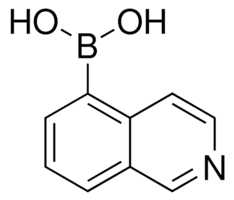 5-Isoquinolineboronic acid
