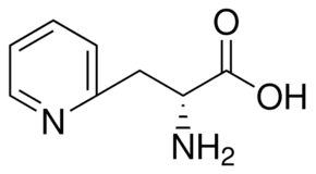 3-(2-Pyridyl)-D-alanine