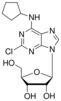 2-Chloro-N6-cyclopentyladenosine