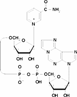 Nicotinamide 1,N6-ethenoadenine dinucleotide