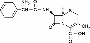 Cephradine