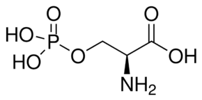O-Phospho-L-serine