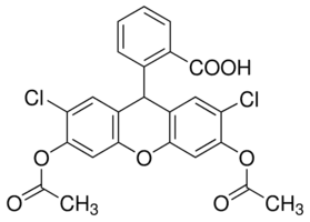 2′,7′-Dichlorofluorescin diacetate