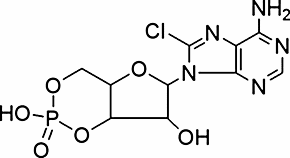 8-Chloroadenosine 3′,5′-cyclic-monophosphate