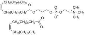 1,2-Dioleoyl-sn-glycero-3-phosphocholine