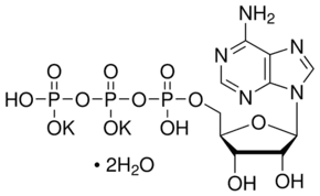 Adenosine 5′-triphosphate dipotassium salt dihydrate
