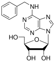 N6-Benzyladenosine