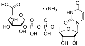 Uridine 5′-diphosphoglucuronic acid ammonium salt