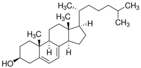 7-Dehydrocholesterol