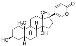 Bufalin