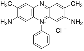Gram-Hucker’s stain solution (III)