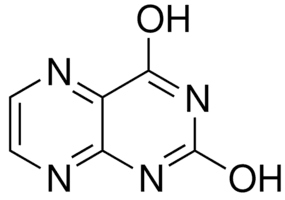 Lumazine