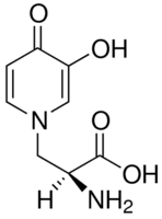 L-Mimosine from Koa hoale seeds