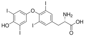 L-Thyroxine
