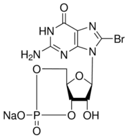 8-Bromoguanosine-3′,5′-cyclomonophosphate sodium salt