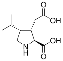 Dihydrokainic acid