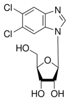 5,6-Dichlorobenzimidazole 1-β-D-ribofuranoside