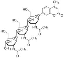 4-Methylumbelliferyl β-D-N,N′,N′′-triacetylchitotrioside
