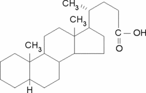 5β-Cholanic acid