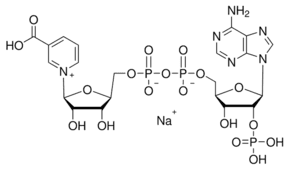 Nicotinic acid adenine dinucleotide phosphate sodium salt