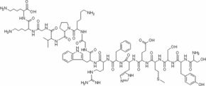 Adrenocorticotropic Hormone Fragment 1-16 human, rat