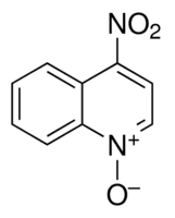 4-Nitroquinoline N-oxide