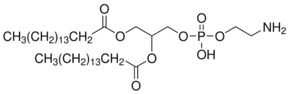 1,2-Dipalmitoyl-rac-glycero-3-phosphoethanolamine